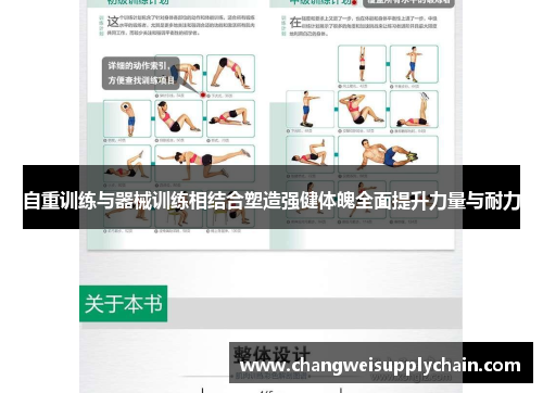 自重训练与器械训练相结合塑造强健体魄全面提升力量与耐力